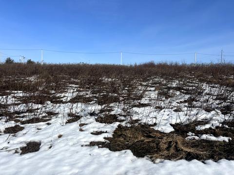 ділянка за адресою Княгині Ольги