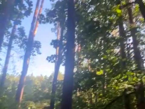 участок по адресу Гайова, 48