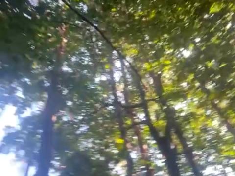 участок по адресу Гайова, 48