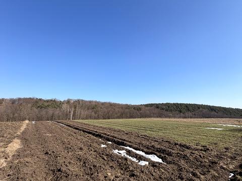 ділянка за адресою 