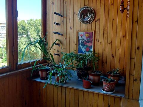 квартира по адресу Павла Тычины просп., 26