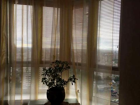 квартира по адресу Академика Палладина просп., 18/30