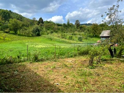 будинок за адресою с. Тур'я Поляна, Головна