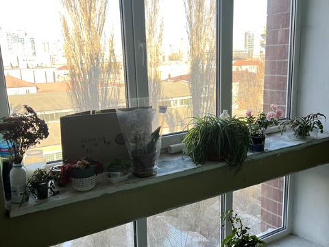 квартира за адресою Митрофана Довнар-Запольського вул., 6