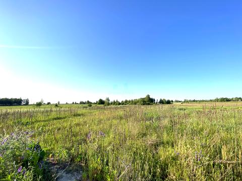 ділянка за адресою с. Берестянка, Центральна