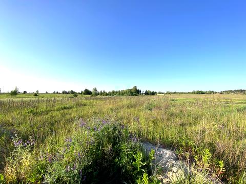 ділянка за адресою с. Берестянка, Центральна