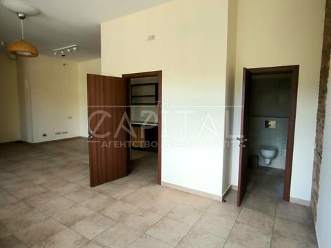 коммерческая по адресу Житня ул., 17