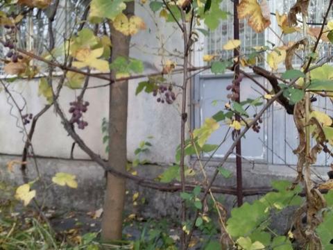 будинок за адресою Гідності вул. (Жертв Революції)