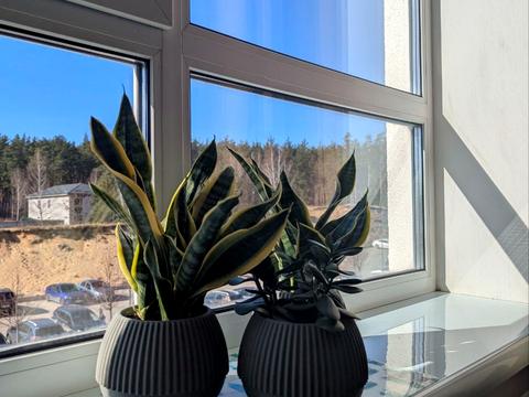 квартира за адресою Університетська вул., 1г