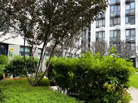 квартира за адресою Салютна вул., (Будинок 02301-02303)