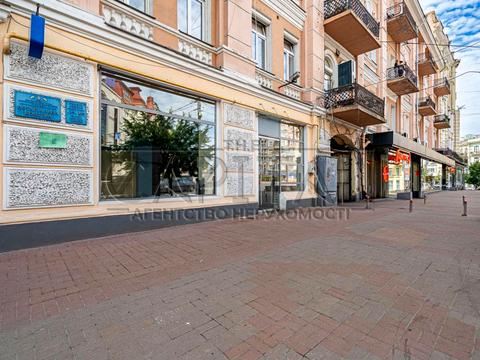 комерційна за адресою Велика Васильківська вул. (Червоноармійська), 23а