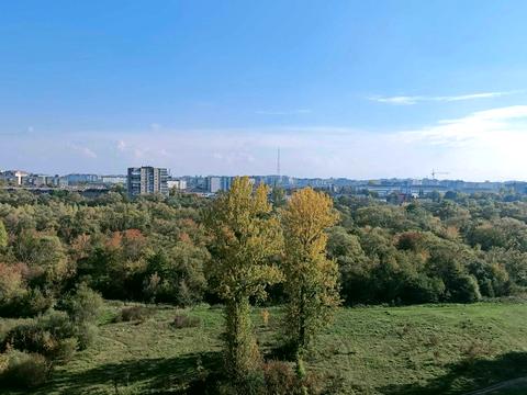 квартира по адресу Пасечная ул., 41