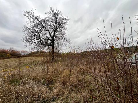 будинок за адресою Набережна, 10а