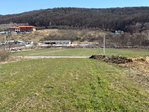 ділянка за адресою Головна