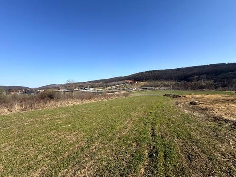 ділянка за адресою Головна