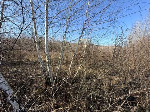 ділянка за адресою Головна