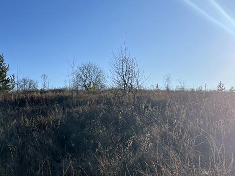 участок по адресу Зарічна