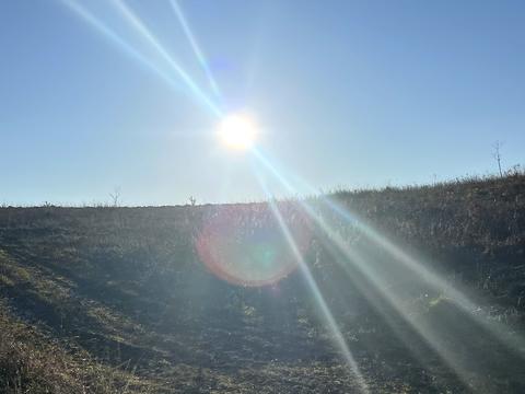 участок по адресу Зарічна