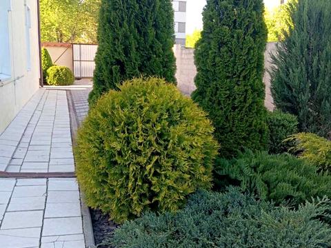 будинок за адресою Івана Виговського вул. (Маршала Гречка)