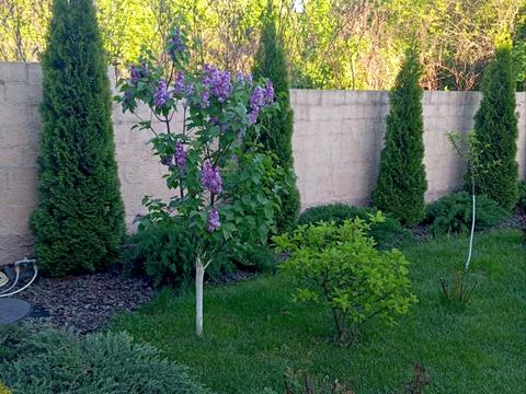 будинок за адресою Івана Виговського вул. (Маршала Гречка)