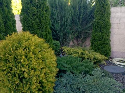 будинок за адресою Івана Виговського вул. (Маршала Гречка)