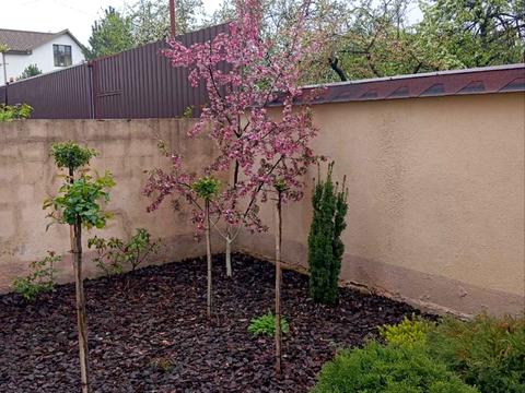 будинок за адресою Івана Виговського вул. (Маршала Гречка)