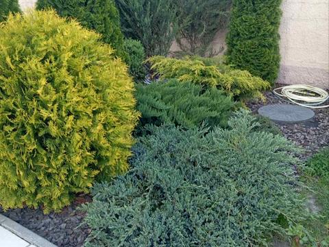 будинок за адресою Івана Виговського вул. (Маршала Гречка)