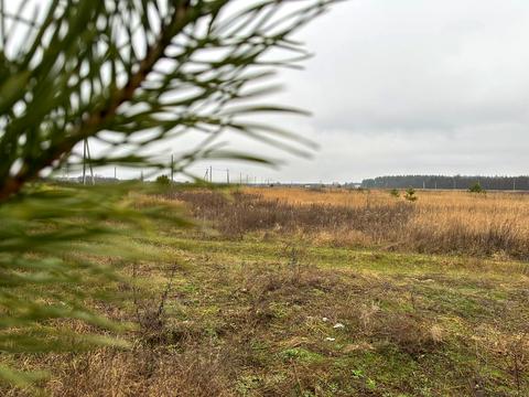 участок по адресу с. Лесное, 