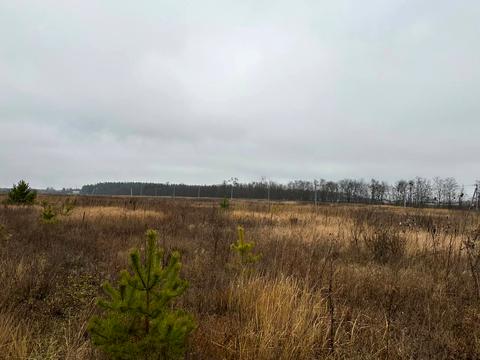 участок по адресу с. Лесное, 