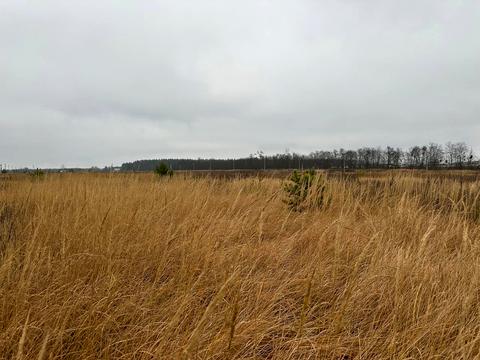 участок по адресу с. Лесное, 