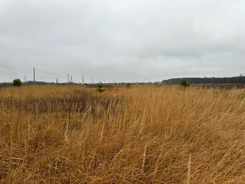 участок по адресу с. Лесное, 