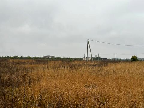 участок по адресу с. Лесное, 