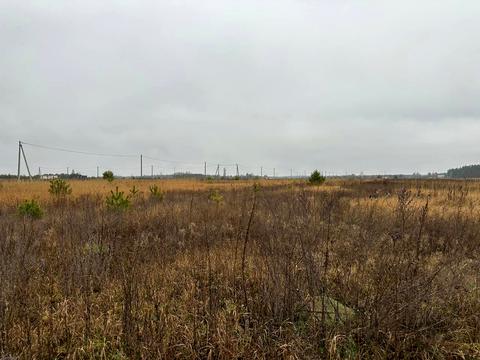 участок по адресу с. Лесное, 