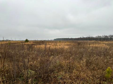 участок по адресу с. Лесное, 