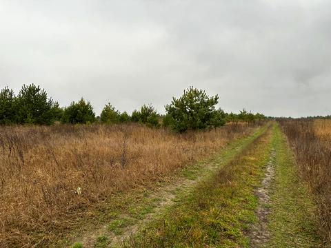 участок по адресу с. Лесное, 
