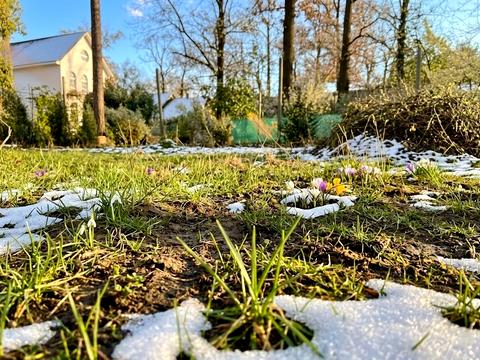 ділянка за адресою Кленова вул., 29 а