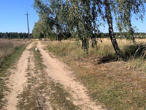 ділянка за адресою Вишгородська