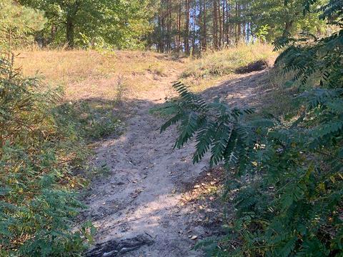 ділянка за адресою Вишгородська