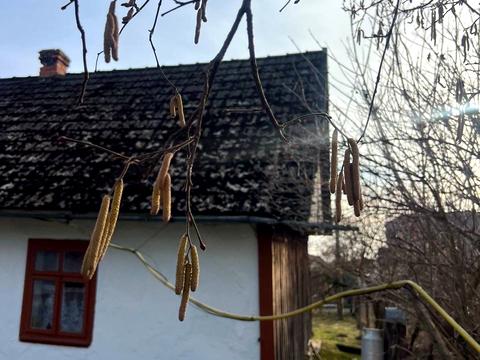 дом по адресу Хмельницького, 62