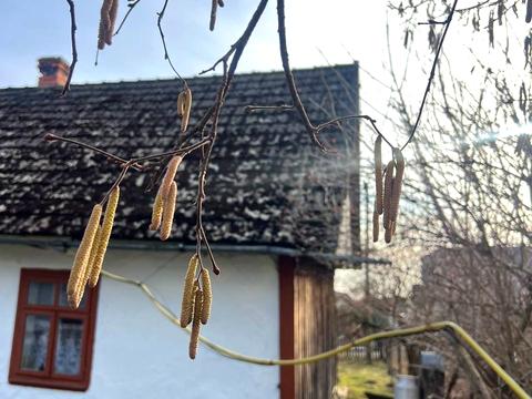 дом по адресу Хмельницького, 62