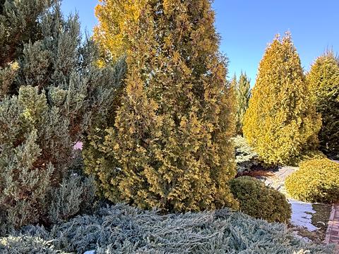 будинок за адресою 8 березня