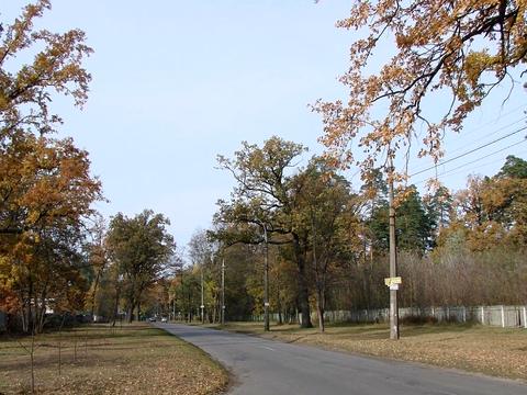 ділянка за адресою Квітки Цісик вул. (Гамарника)