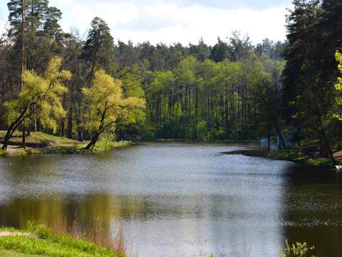 ділянка за адресою Квітки Цісик вул. (Гамарника)