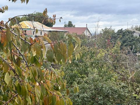 будинок за адресою Перемоги вул., 44