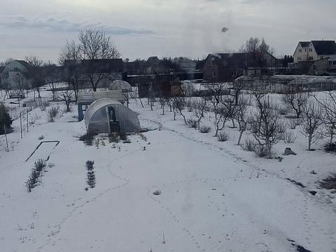 будинок за адресою с. Гоголів, Калюка