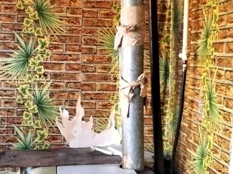будинок за адресою Карпенка-Карого вул.