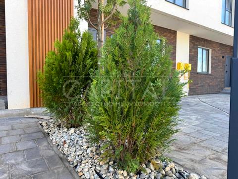 дом по адресу Шевченко ул.