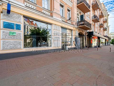 комерційна за адресою Велика Васильківська вул. (Червоноармійська), 23