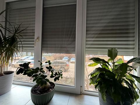 квартира за адресою Протасевича вул., 4