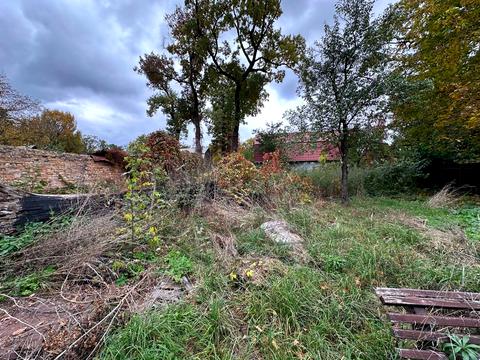 ділянка за адресою смт. Ворзель, 